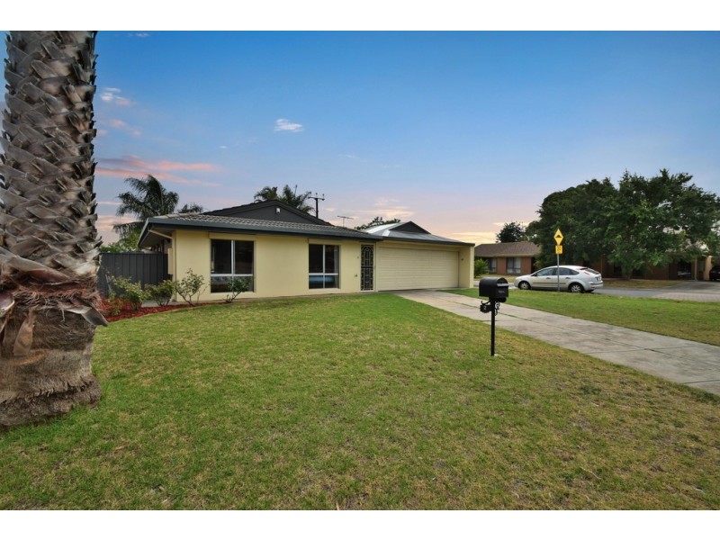 2 Cohen Court, Clovelly Park SA 5042