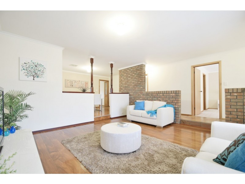 16 Buttercup Grove, Morphett Vale SA 5162