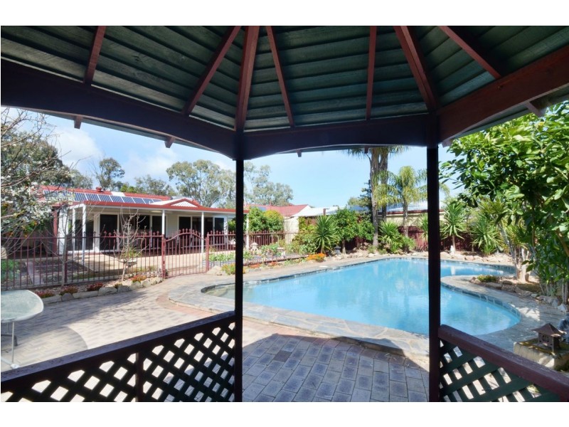 15 Minchinbury Terrace, Marion SA 5043