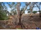 153 Pine Road, Onkaparinga Hills SA 5163