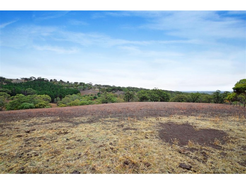 153 Pine Road, Onkaparinga Hills SA 5163