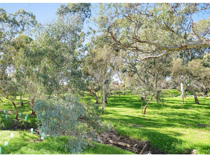 8 Bradman Court, Morphett Vale SA 5162