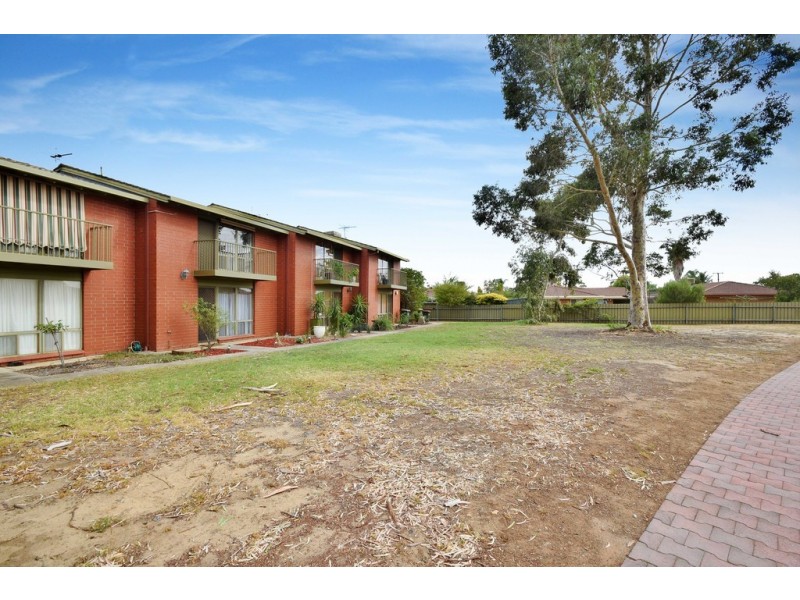 3-14 Windsor Avenue, Clovelly Park SA 5042