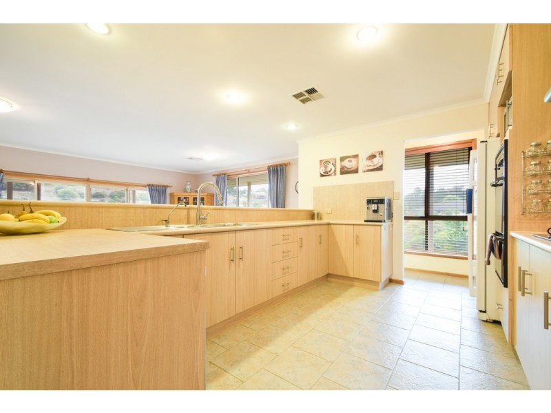 17 Panache Ct, Sheidow Park SA 5158