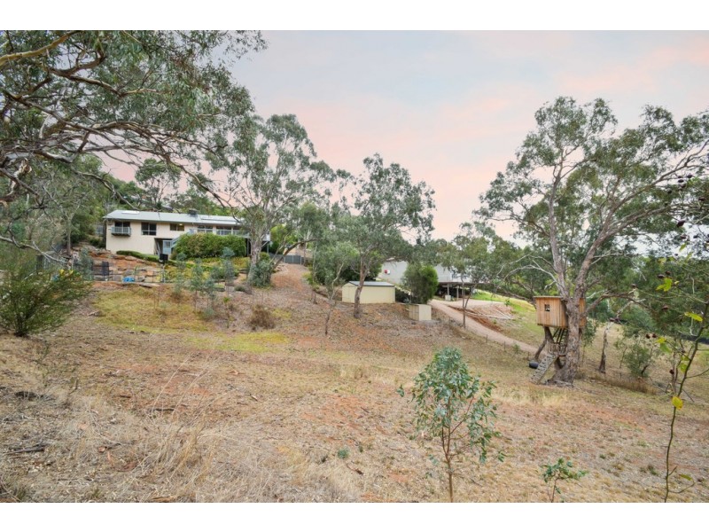 7 Molnar Drive, Aberfoyle Park SA 5159