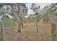 7 Molnar Drive, Aberfoyle Park SA 5159