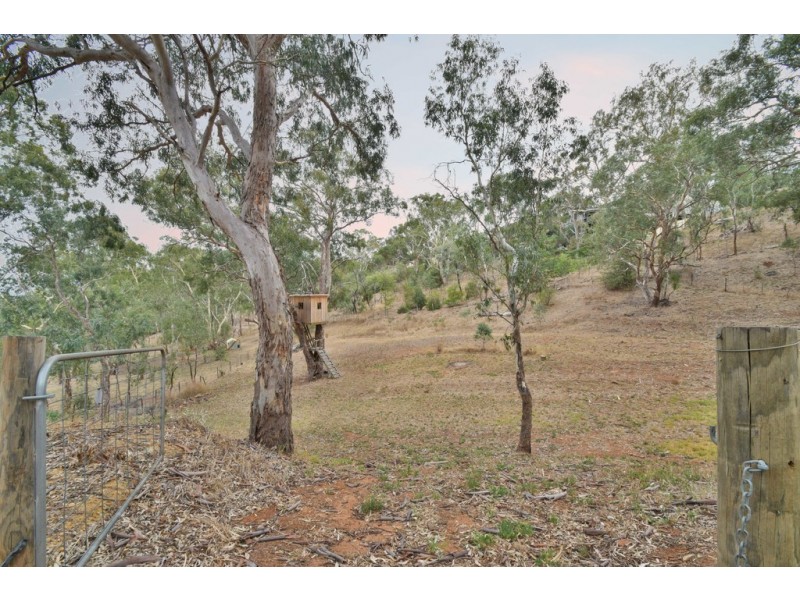 7 Molnar Drive, Aberfoyle Park SA 5159