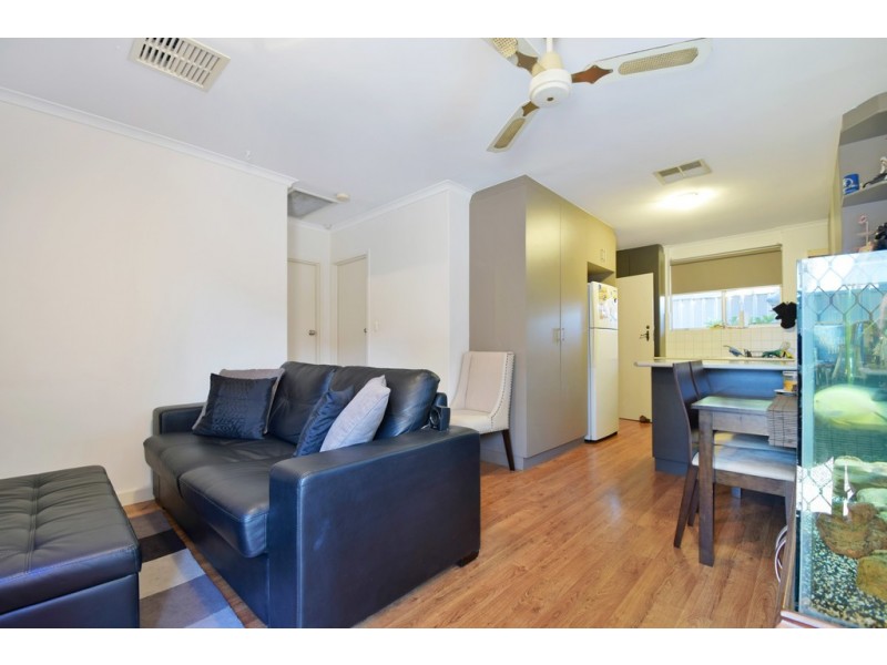 3-803 Marion Road, Mitchell Park SA 5043