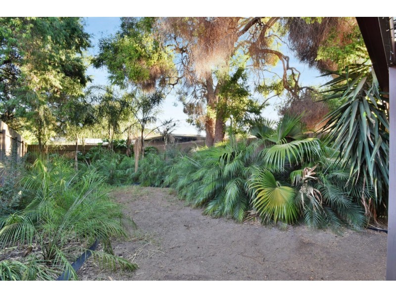 3-803 Marion Road, Mitchell Park SA 5043