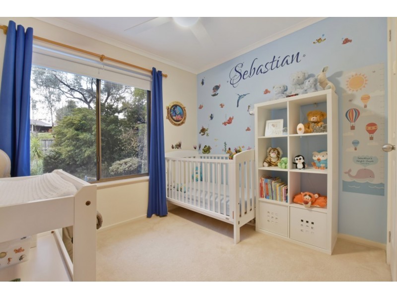 31 Hartley Street, Flagstaff Hill SA 5159