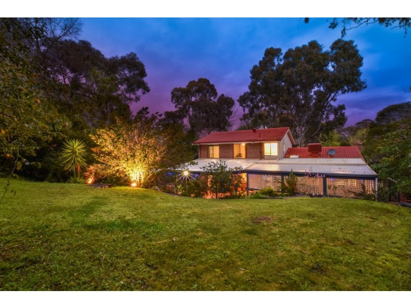 31 Hartley Street, Flagstaff Hill SA 5159