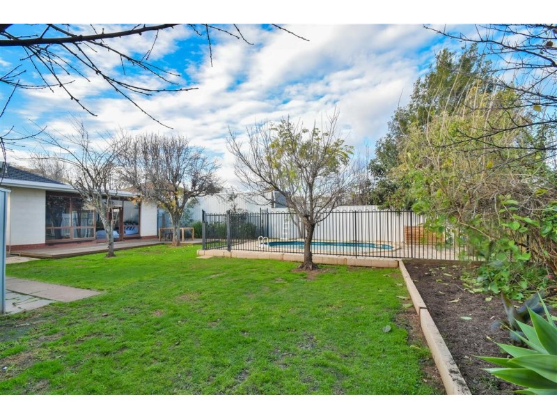 123 Ayers Avenue, Melrose Park SA 5039