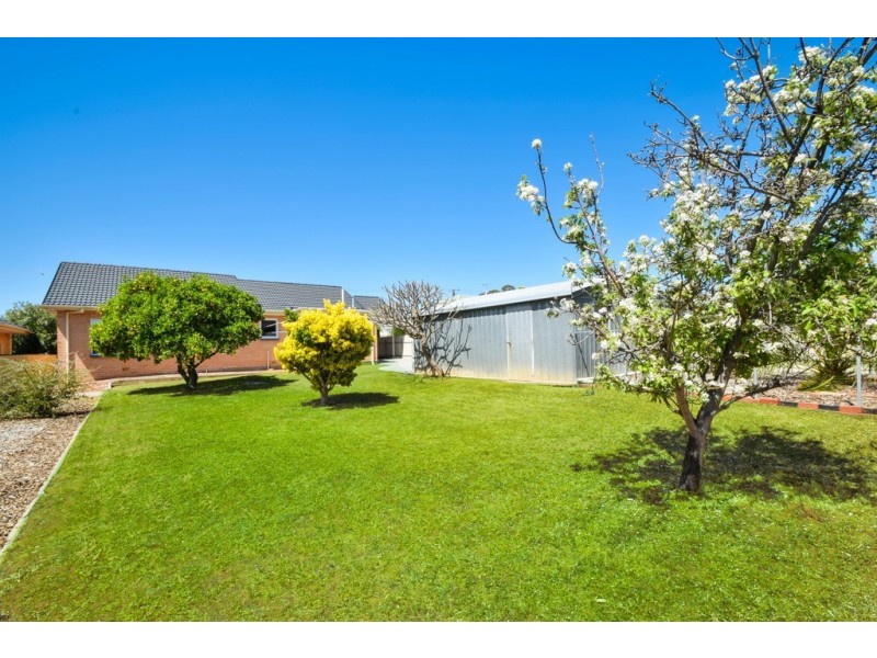 51 Ringwood Road, Morphett Vale SA 5162