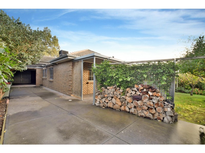 19 Kathleen Street, Morphett Vale SA 5162