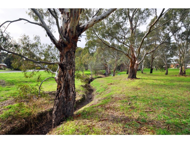 19 Kathleen Street, Morphett Vale SA 5162