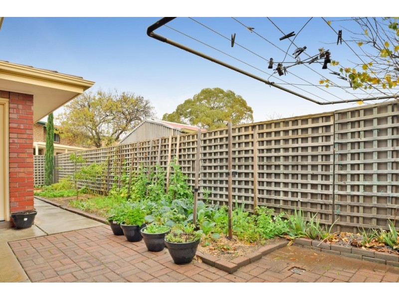 2-38 Adelaide Terrace, Ascot Park SA 5043