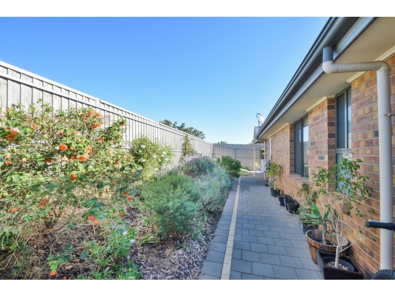 12 Shirvington Way, Noarlunga Downs SA 5168