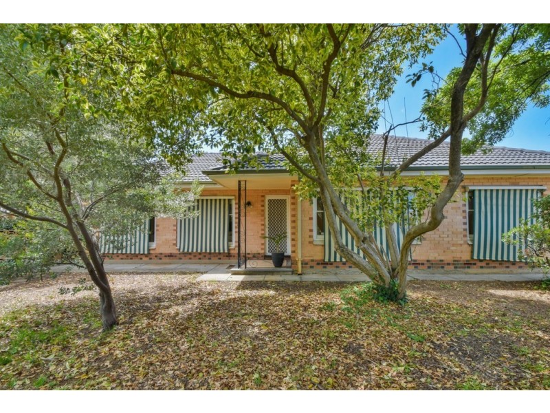 18 Laurence Street, South Plympton SA 5038