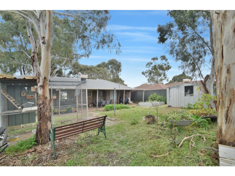 14 Acorn Street, Aberfoyle Park SA 5159