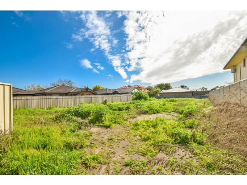 51A Angus Avenue, Edwardstown SA 5039