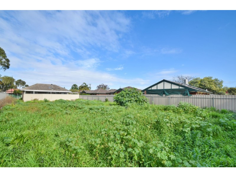 51A Angus Avenue, Edwardstown SA 5039