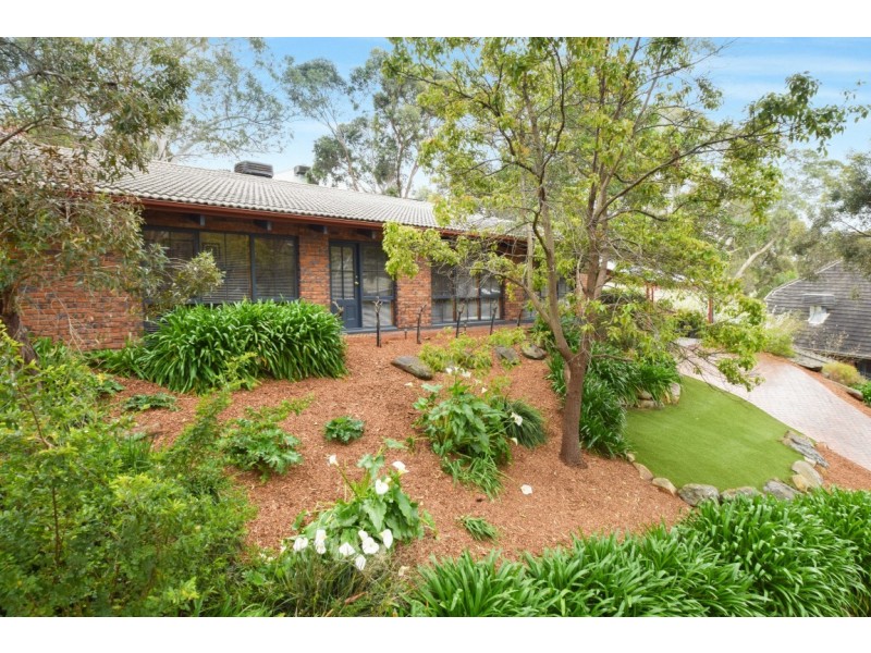 16 Woodland Grove, Aberfoyle Park SA 5159