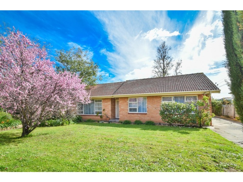 79 Sunshine Avenue, Hove SA 5048