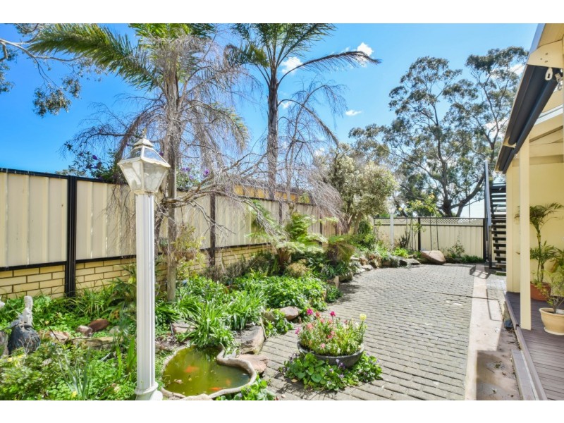 26 Witton Street, Flagstaff Hill SA 5159