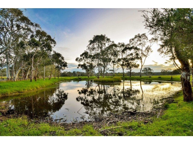 428 Brookman Road, Meadows SA 5201