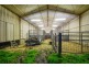 428 Brookman Road, Meadows SA 5201