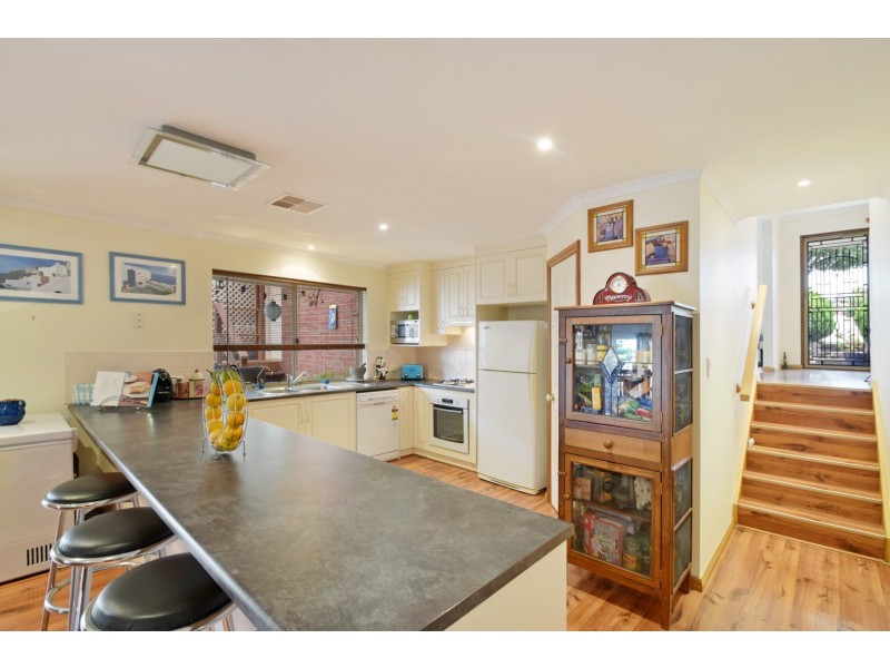 31 Holdfast Drive, Sheidow Park SA 5158