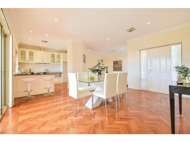 20a Hill Street, Plympton Park SA 5038