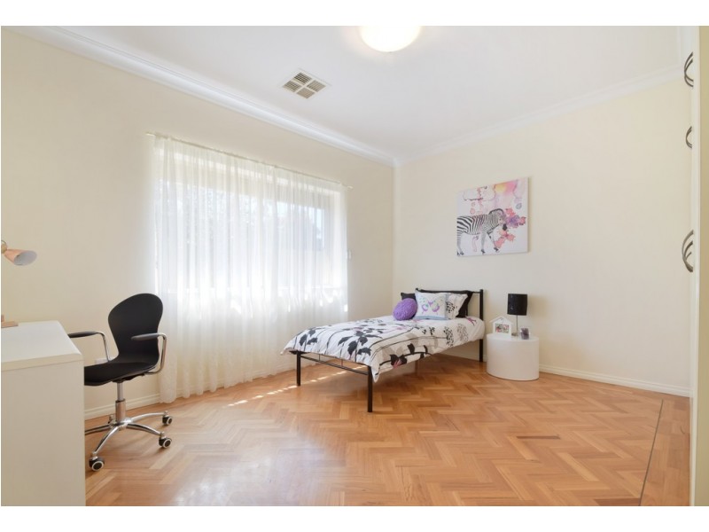 20a Hill Street, Plympton Park SA 5038