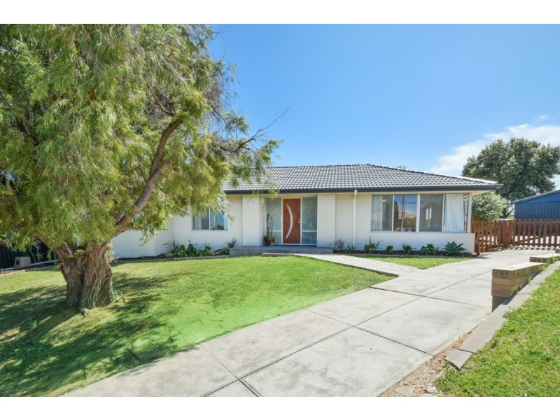 3 Ibis Court, Reynella SA 5161