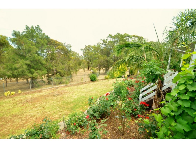 6 Monterey Pine Drive, Aberfoyle Park SA 5159