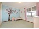 1 Shelter Court, Aberfoyle Park SA 5159