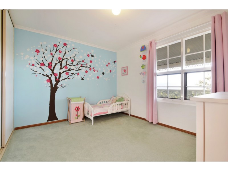 1 Shelter Court, Aberfoyle Park SA 5159
