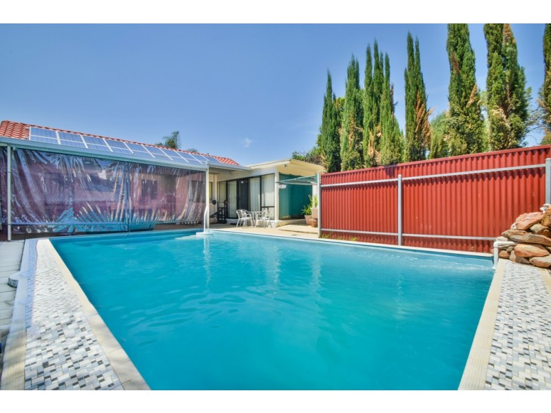 24 Finchley Street, Clovelly Park SA 5042