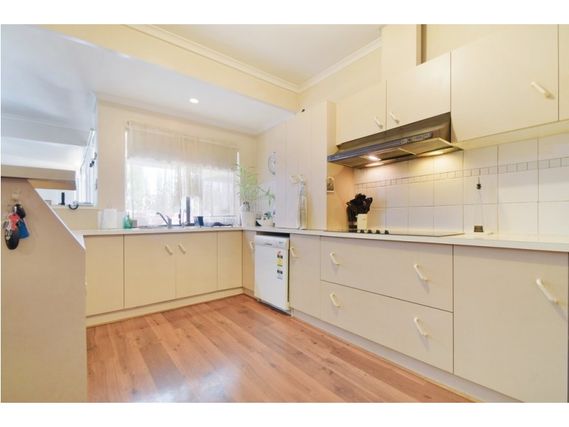 24 Finchley Street, Clovelly Park SA 5042