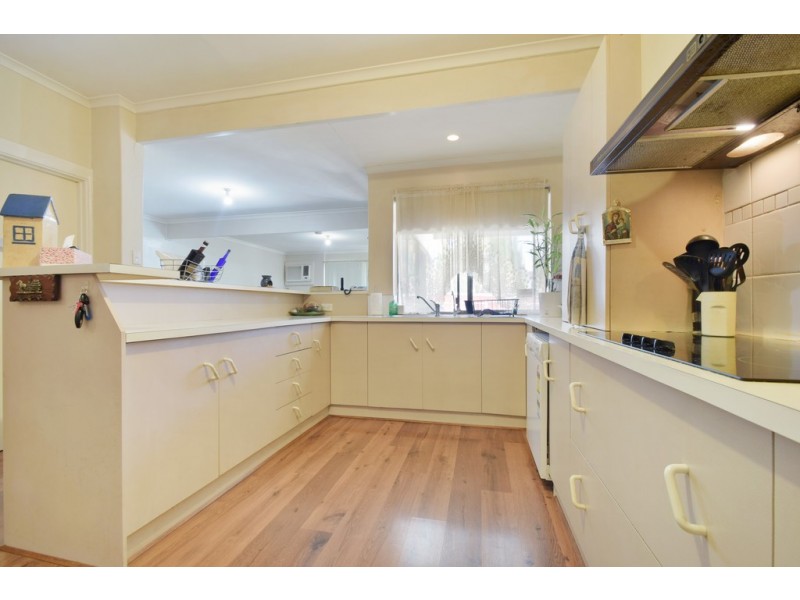 24 Finchley Street, Clovelly Park SA 5042