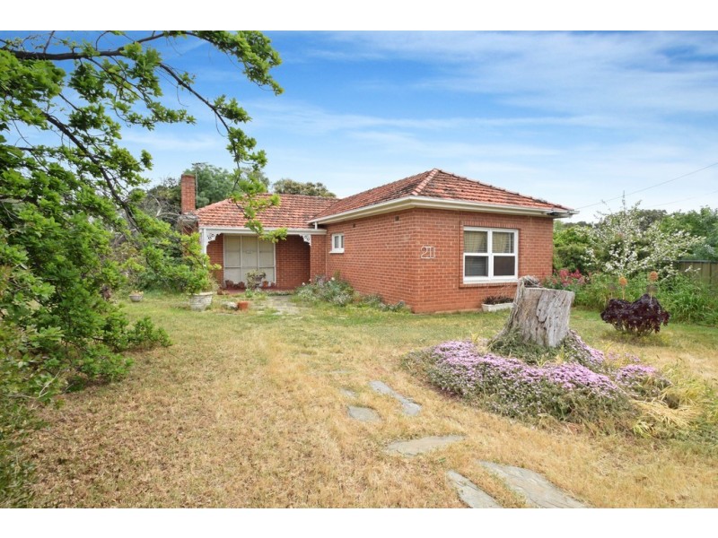 20 Boyle Street, Oaklands Park SA 5046