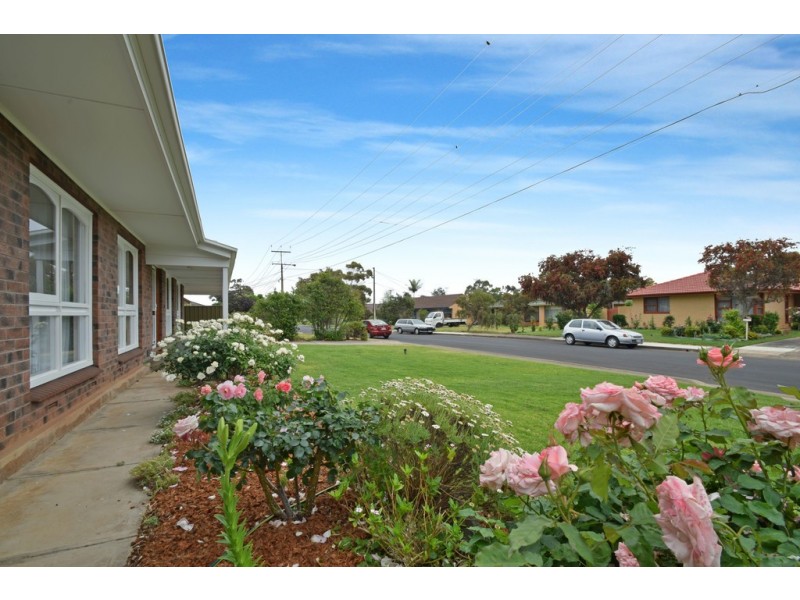 5 Pitcairn Avenue, Marion SA 5043