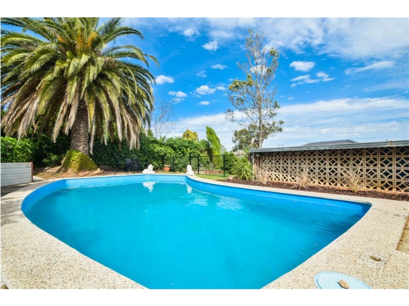 17 Wren Street, O’halloran Hill SA 5158