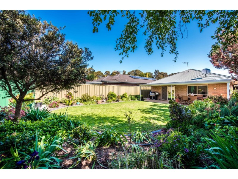 3 Gino Close, Flagstaff Hill SA 5159