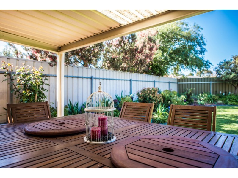 3 Gino Close, Flagstaff Hill SA 5159