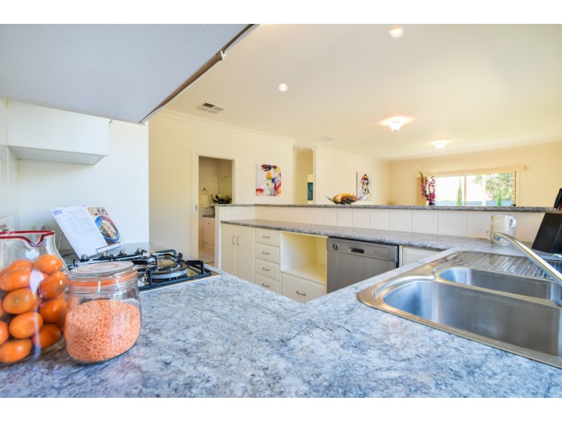 260A Diagonal Road, Oaklands Park SA 5046