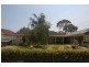 55 Sunshine Avenue, Warradale SA 5046
