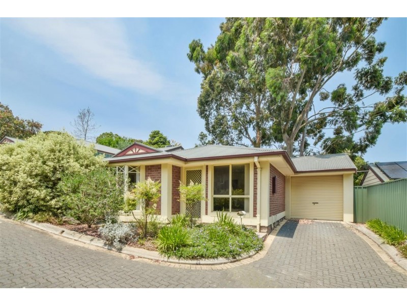 8-9 Meadowvale Drive, Coromandel Valley SA 5051