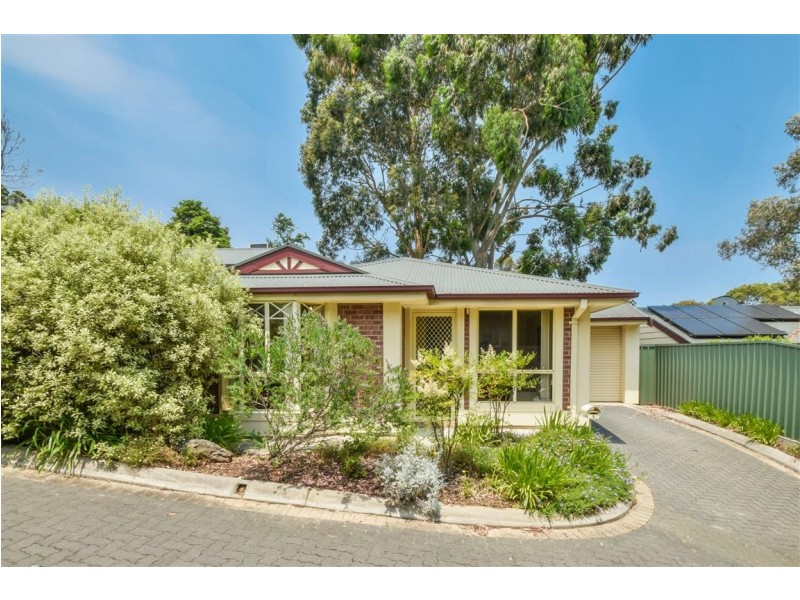 8-9 Meadowvale Drive, Coromandel Valley SA 5051