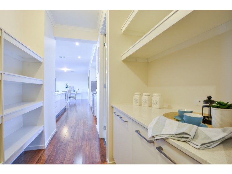 90 Highfield Drive, Craigburn Farm SA 5051